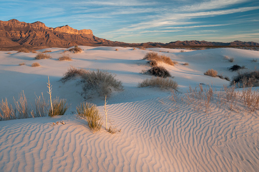 Sunrise casting shadows over over uniquely shaped golden desert sand dunes in Western Australia.