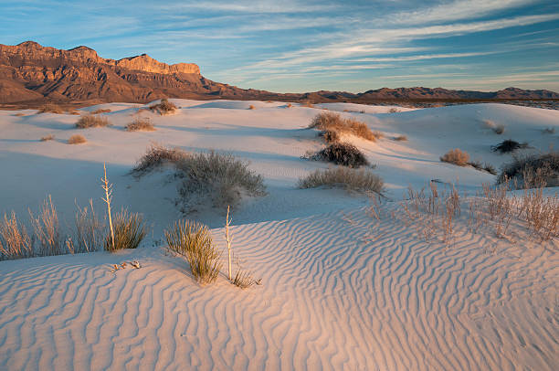 Salt Basin Dunes in Guadalupe Mountains National Park stock photo