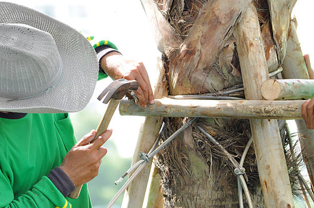 Worker hammering a nail on wooden stick making tree stake