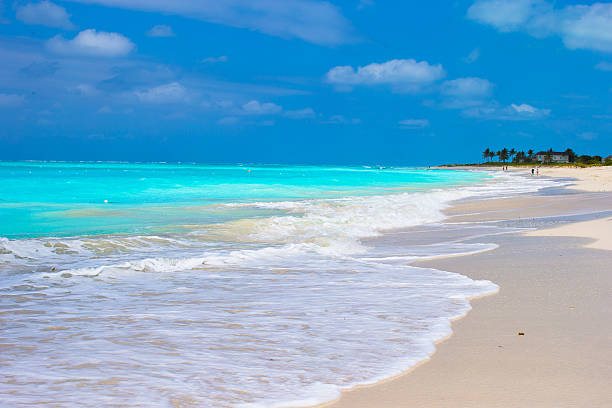 istock Perfect white beach with turquoise water on Caribbean island 531095195