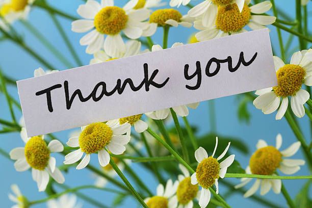 istock Thank you card with chamomile flowers 531095375