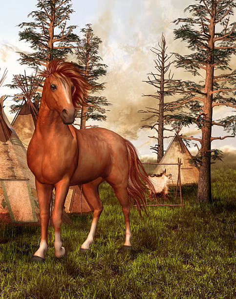 Brown horse in an old forest with Indian tents