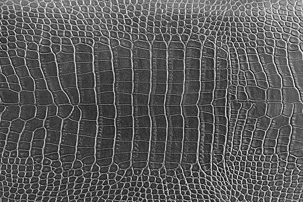 istock black crocodile skin texture as a wallpaper 531096803