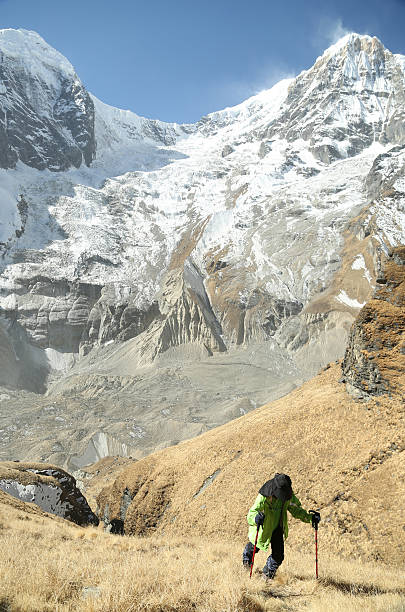 istock trekker walk to tent peak in abc himalaya 531099609