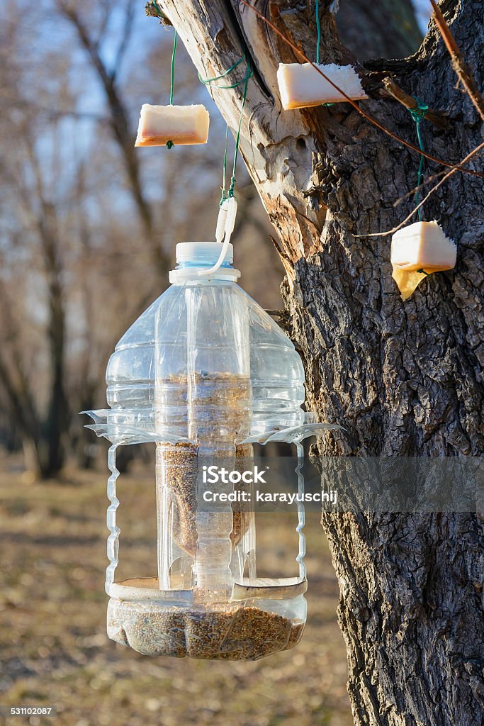 Birds Feeder Big plastic bottle used as feeder for birds in winter 2015 Stock Photo