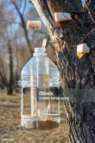 Birds Feeder Stock Photo - Download Image Now - 2015, Animal Wildlife, Bird