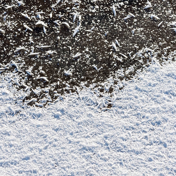 istock close-up frozen snowflakes 531108083