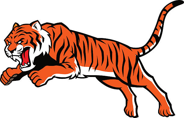 jumping tiger vector of jumping tiger tiger mascot stock illustrations