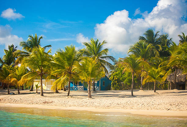istock Caribbean little beach town 531113443
