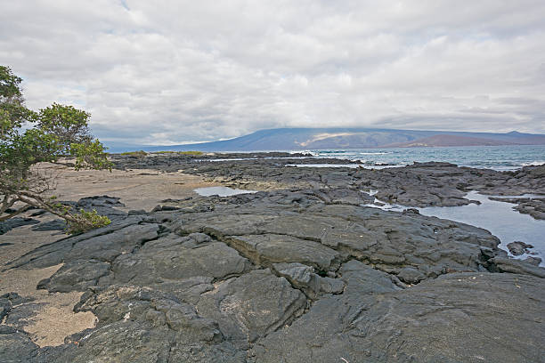 lava e areia no galápagos - fernandina beach - fotografias e filmes do acervo