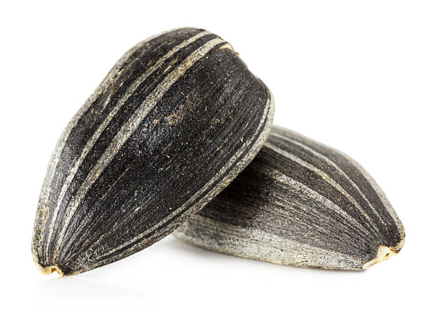istock sunflower seeds isolated on the white background 531117865