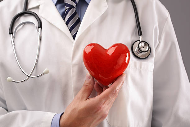 doctor sosteniendo corazón contra el pecho - cardiologist fotografías e imágenes de stock