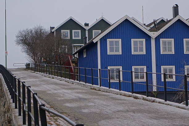 typicall swedish Apartment Houses in blue or grey