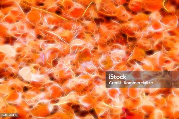 Bright Neon Abstract Background Image Dried Flowers Stock Photo - Download Image Now