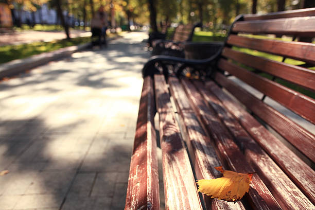 istock garden bench in autumn park landscape 531121401