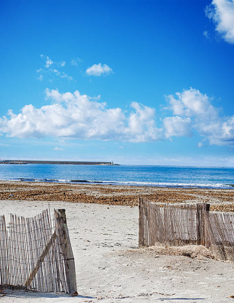 istock wooden palisades by the beach 531122215