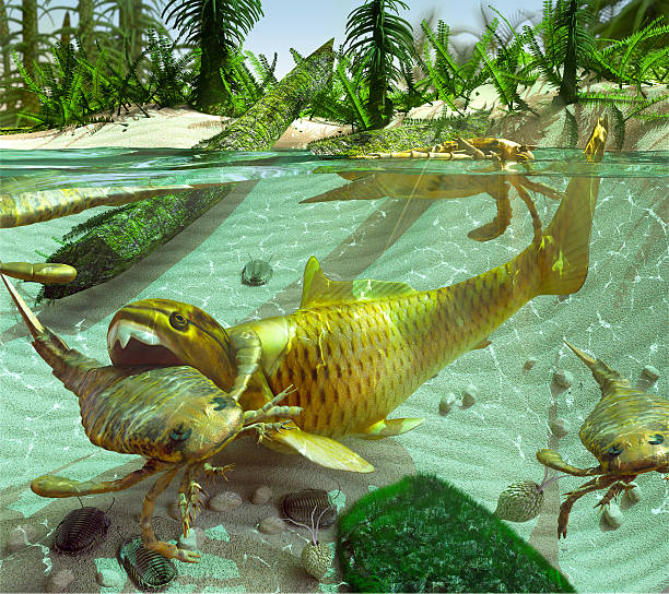Devonian Lake Cycle Of Life Stock Photo - Download Image Now - Devonian,  Carboniferous, Sea - iStock