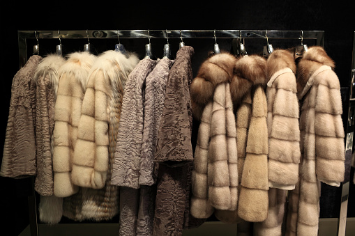 The various fur coats at the store