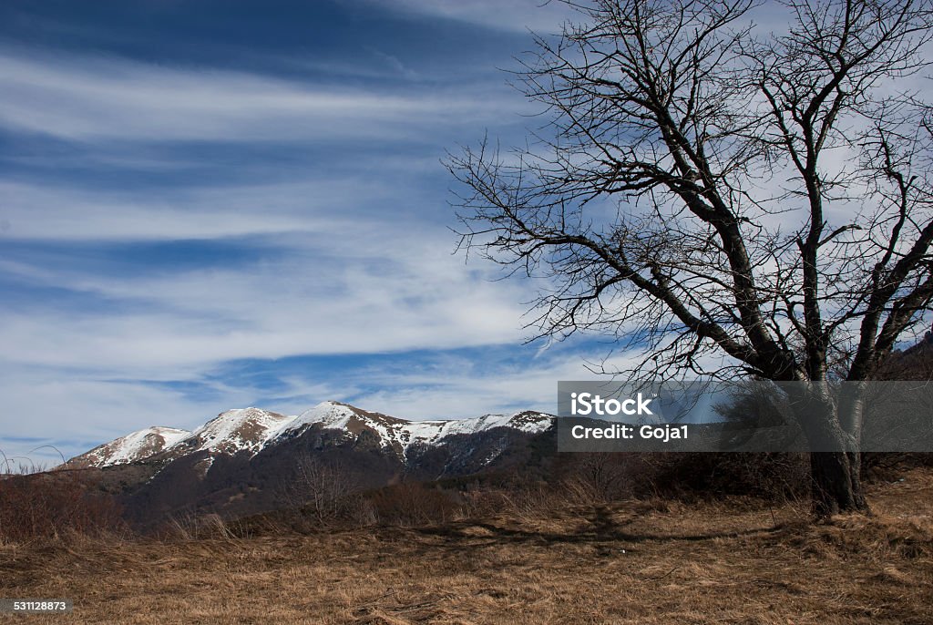 Landscape with snowy mountain peaks Landscape of southeastern Serbia mountain range Balkan with snowy peaks in background 2015 Stock Photo