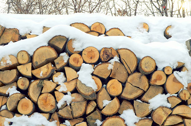 istock Pile of wood. 531129635
