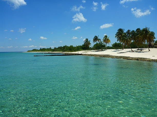 Caribbean Seaside, Maria la Gorda, Cuba Caribbean Seaside at Maria la Gorda, diving resort in Pinar del Rio province, Cuba. Transparent sea, clear sky, white sand and coconut palms. maria la gorda stock pictures, royalty-free photos & images