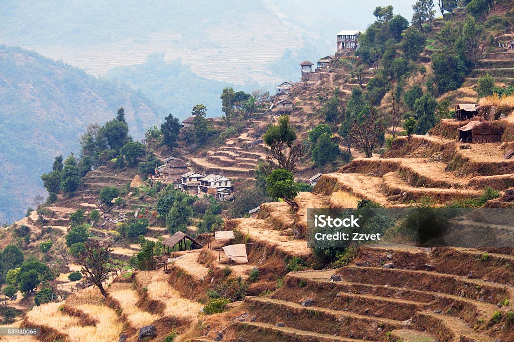 Rice field terraces at central Nepal Rice field terraces in Central Nepal, Annapurna conservation area. 2015 Stock Photo