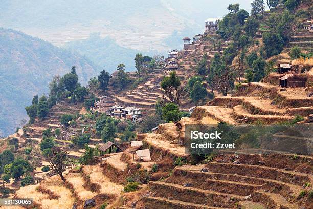 Rice Field Terraces At Central Nepal Stock Photo - Download Image Now - 2015, Agriculture, Architecture