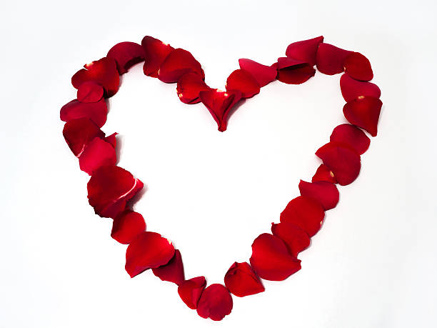 istock Heart shape made of rose petals 531130429