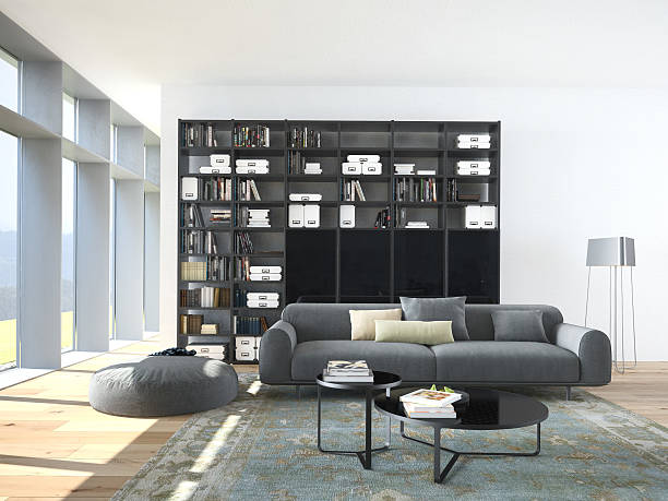 istock modern couch and wood bookcase in a living room. 3d 531133809