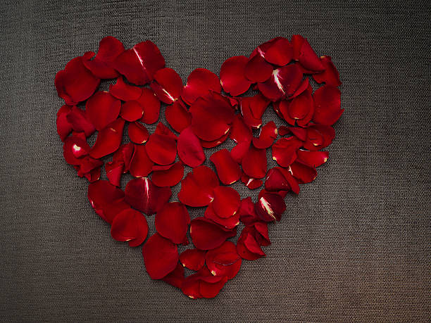 istock Beautiful heart shape with rose petals 531134555