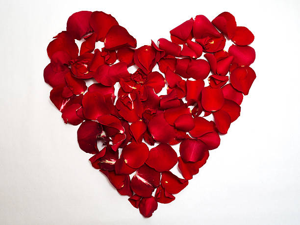 istock Beautiful heart shape filled with red rose petals 531134659