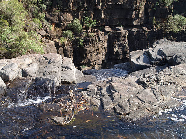 dintorni di mitchell falls, australia occidentale - mittchell falls foto e immagini stock