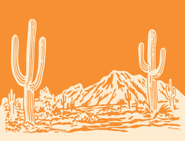 ilustraciones, imágenes clip art, dibujos animados e iconos de stock de escena del desierto - cactus