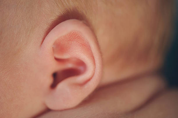 istock Small delicate little ear of newborn 531138315