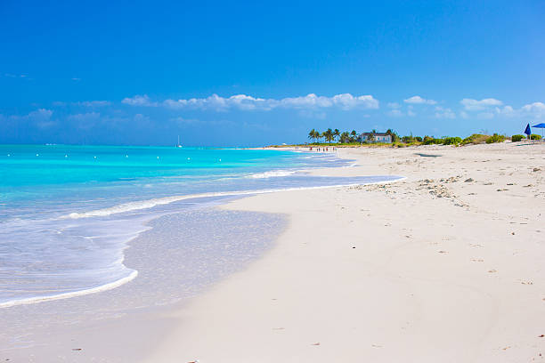 istock White sandy beach with turquoise water at perfect island 531139413