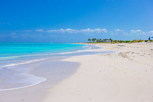 istock White sandy beach with turquoise water at perfect island 531139415