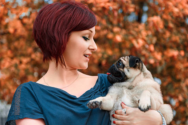 Girl holding her pug pet dog stock photo