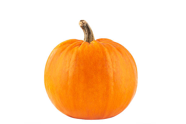 istock Big yellow pumpkin on a white background 531141079