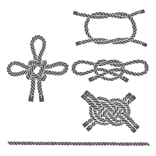 Set of marine rope, knots. Vector isolated  elements . Vector set of marine rope, knots. Elements for your design. Hand-drawn vector illustration. rope tied knot string knotted wood stock illustrations