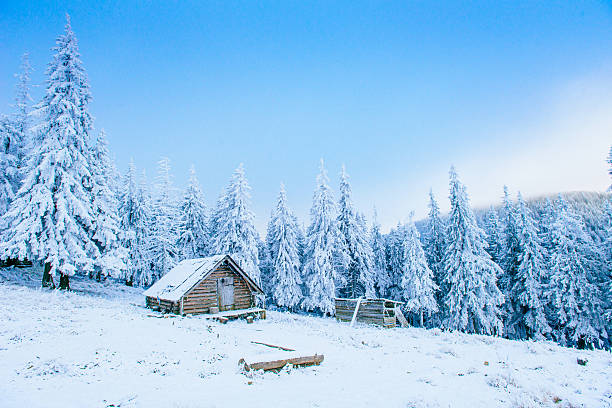 istock cabin in the mountains in winter 531149715