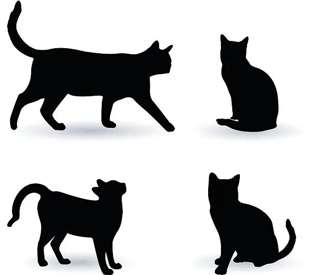Vector illustration of Cats silhouette