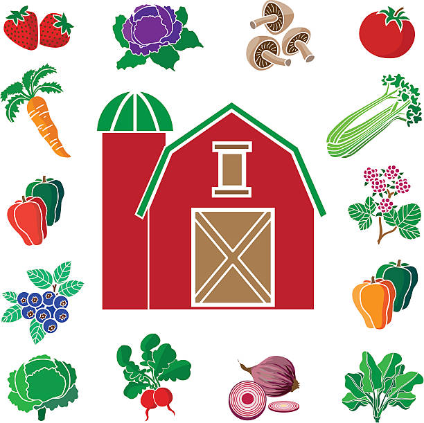 illustrazioni stock, clip art, cartoni animati e icone di tendenza di rosso di un fienile con design bordo di produrre dalla farm - agrigulture