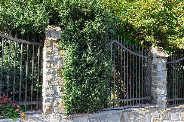 house facade with stone plant fence background