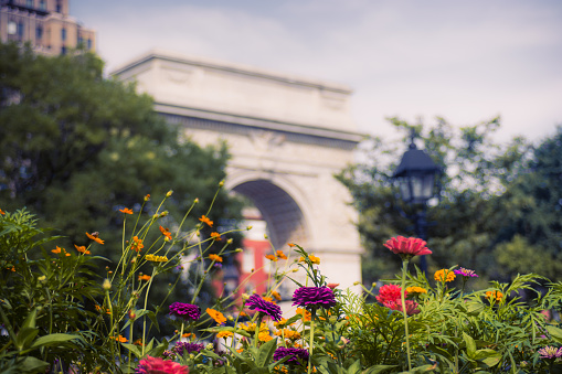 Flowers in front of the Washington Square Arch at Washington Square Park in the Greenwich Village neighborhood of New York City.