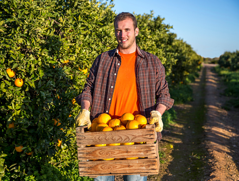 Farmer with a basket of oranges
