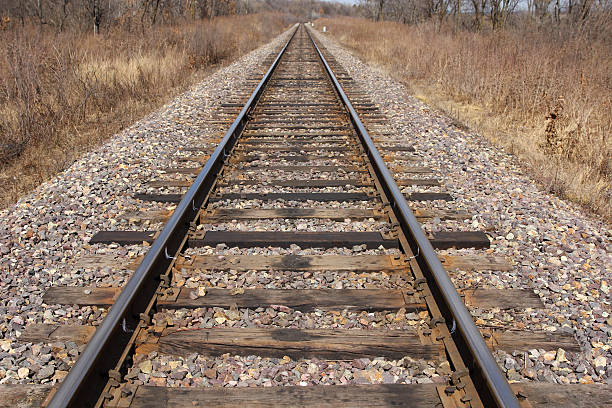 istock Railway leaving afar to horizon. 531164323