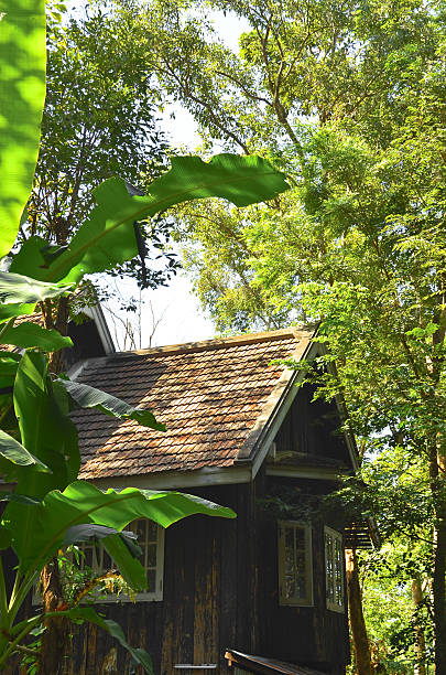 istock wooden cottage in forest 531166727
