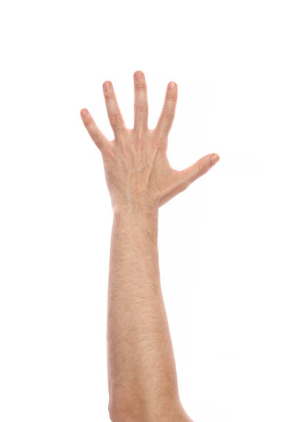 istock hand sign of number five 531166936