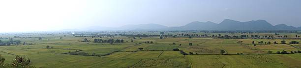 istock rice field landscape in panorama 531166943