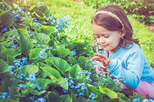 menina no verão - child little girls single flower flower - fotografias e filmes do acervo